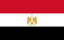 Language Flag